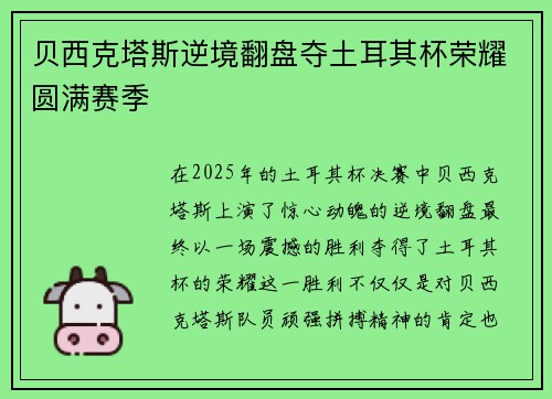 贝西克塔斯逆境翻盘夺土耳其杯荣耀圆满赛季 贝西克塔斯逆境翻盘夺土耳其杯荣耀圆满赛季
